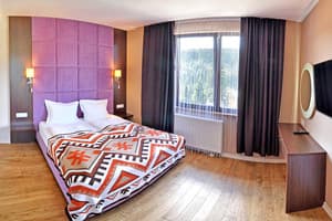 Спа-отель F&B SPA RESORT. Делюкс 4-местный трехкомнатный Fomich 2