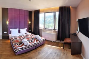 Спа-отель F&B SPA RESORT. Делюкс двухместный Deluxe Fomich 3