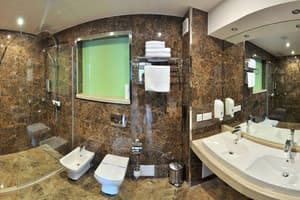 Спа-отель F&B SPA RESORT. Делюкс двухместный Deluxe Fomich 4