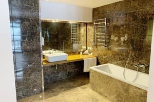 Спа-отель F&B SPA RESORT. Делюкс двухместный OPEN SPACE BURSHTYN 7