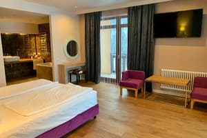 Спа-отель F&B SPA RESORT. Делюкс двухместный OPEN SPACE BURSHTYN 2