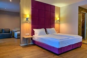 Спа-отель F&B SPA RESORT. Делюкс двухместный OPEN SPACE BURSHTYN 3