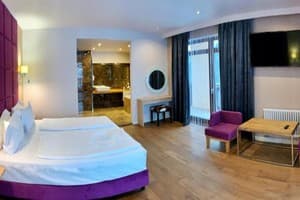 Спа-отель F&B SPA RESORT. Делюкс двухместный OPEN SPACE BURSHTYN 1