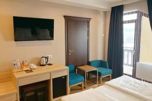 Спа-отель F&B SPA RESORT. Эконом двухместный мансардный BURSHTYN 3
