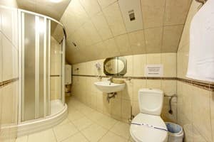 Спа-отель F&B SPA RESORT. Коттедж 6-местный на 3 семьи Fomich 6