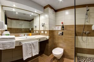 Спа-отель F&B SPA RESORT. Люкс двухместный мансардный Fomich 4