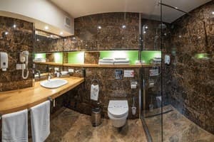 Спа-отель F&B SPA RESORT. Полулюкс двухместный с балконом BURSHTYN 4