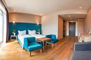 Спа-отель F&B SPA RESORT. Полулюкс двухместный с балконом BURSHTYN 2