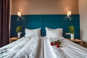 Спа-отель F&B SPA RESORT. Полулюкс двухместный с выходом на террасу BURSHTYN 3