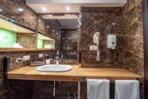 Спа-отель F&B SPA RESORT. Полулюкс двухместный улучшеный BURSHTYN 5