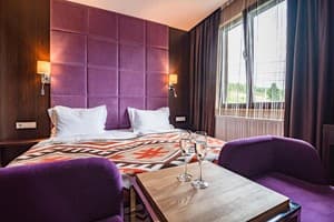 Спа-отель F&B SPA RESORT. Семейный 4-местный Делюкс Fomich 3