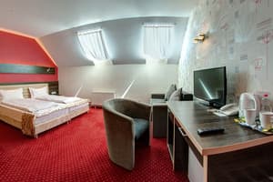 Спа-отель F&B SPA RESORT. Стандарт двухместный мансардный Fomich 1