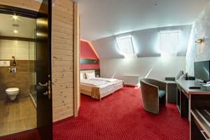 Спа-отель F&B SPA RESORT. Стандарт двухместный мансардный Fomich 2