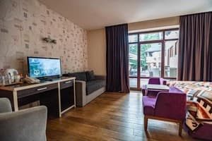 Спа-отель F&B SPA RESORT. Стандарт двухместный с террасой Fomich 2