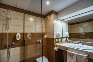 Спа-отель F&B SPA RESORT. Стандарт двухместный с террасой Fomich 4