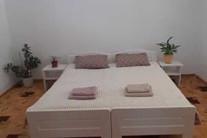 Family House Forest 3