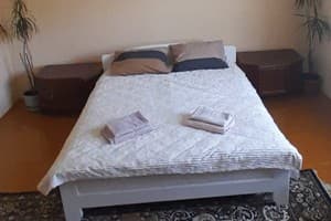 Family House Forest 1