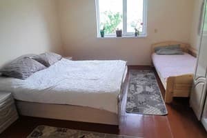 Family House Forest 2