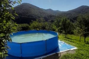 Family House Forest 9