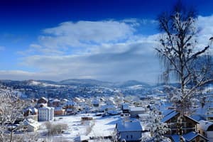 Фавар Карпаты 16
