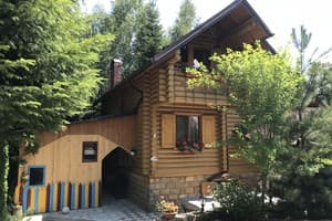 Forest Camp 2
