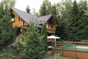 Forest Camp 3