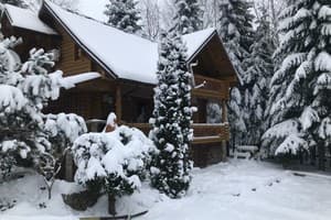 Гостиный двор Forest Camp