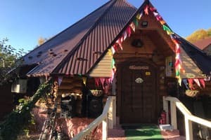 Forest Camp 7