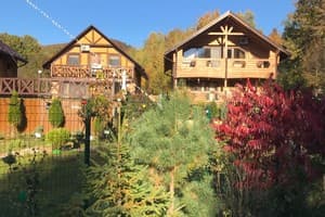 Forest Camp 8