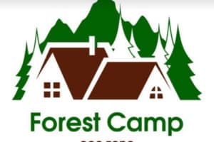 Forest Camp 4