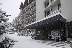 Отель Forest Hill Hotel & Spa