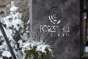 Forest Hill Hotel & Spa 25