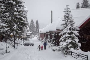 Forest Hill Hotel & Spa 22