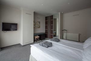 Отель Forest Hill Hotel & Spa. Апартаменты 4-местный  4