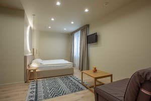 Отель Forest Hill Hotel & Spa. Студио двухместный Apartment Studio 3