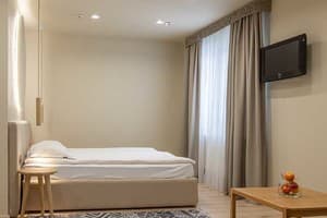 Отель Forest Hill Hotel & Spa. Студио двухместный Apartment Studio 14