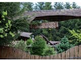 Forest House exclusive 18