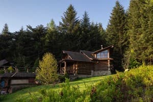 Коттедж Forest House exclusive. Коттедж 4-местный  22