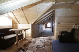 Forest house 20