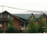 Forest house 6