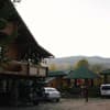 Forest house 7