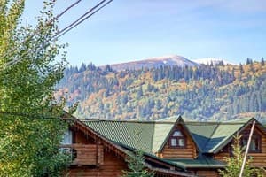 Forest house 4