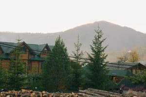Forest house 9