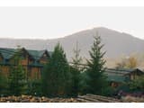 Forest house 9