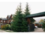 Forest house 8