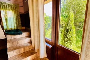 Forest house 25