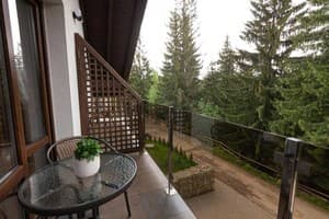 Гостинично-ресторанный комплекс GOOD Days Shale Resort. Стандарт трехместный в шале Міні 5