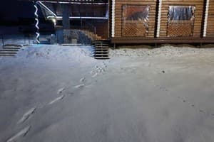 Гірська Роса 12