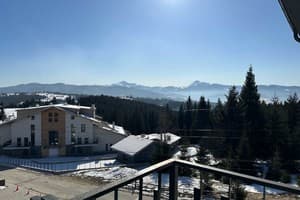 Гостинично-ресторанный комплекс Гірський Континент. Делюкс трехместный  8