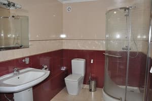 Отель Gora . Полулюкс трехместный однокомнатный 4